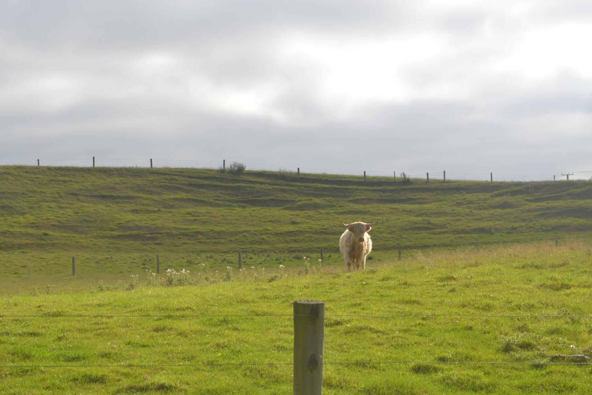 Highlands On Homestead Oamaru Esterno foto