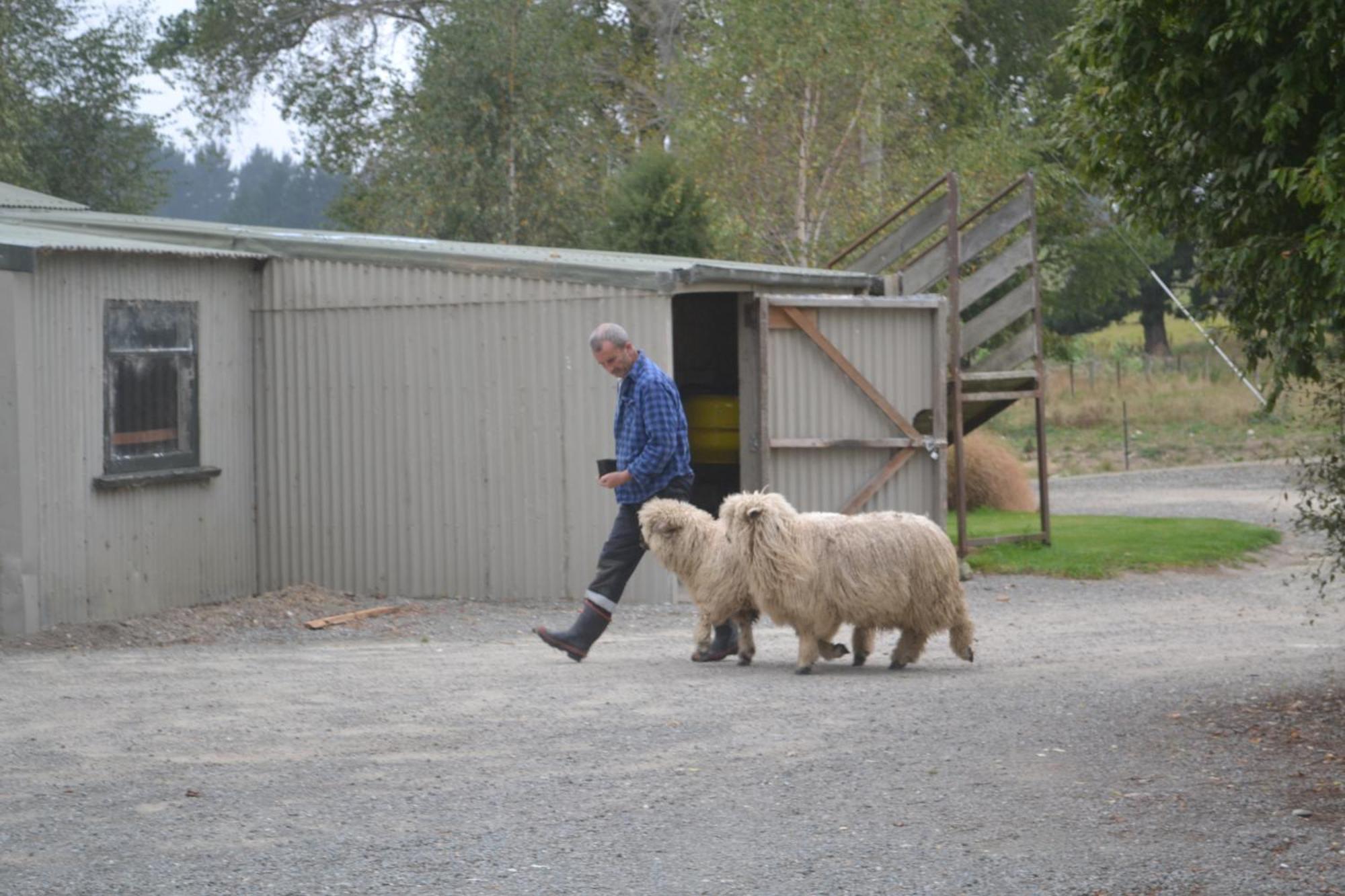 Highlands On Homestead Oamaru Esterno foto