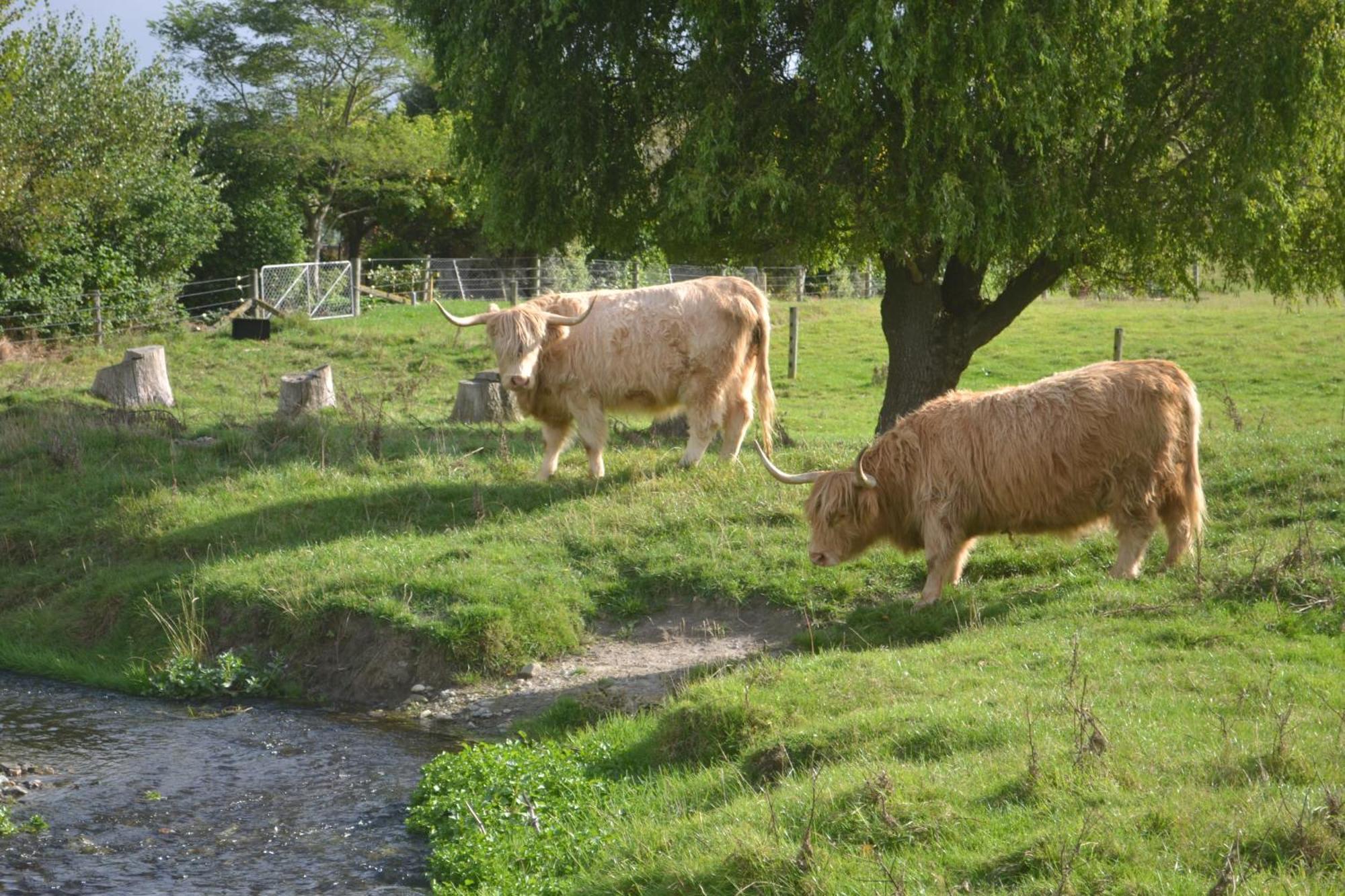Highlands On Homestead Oamaru Esterno foto