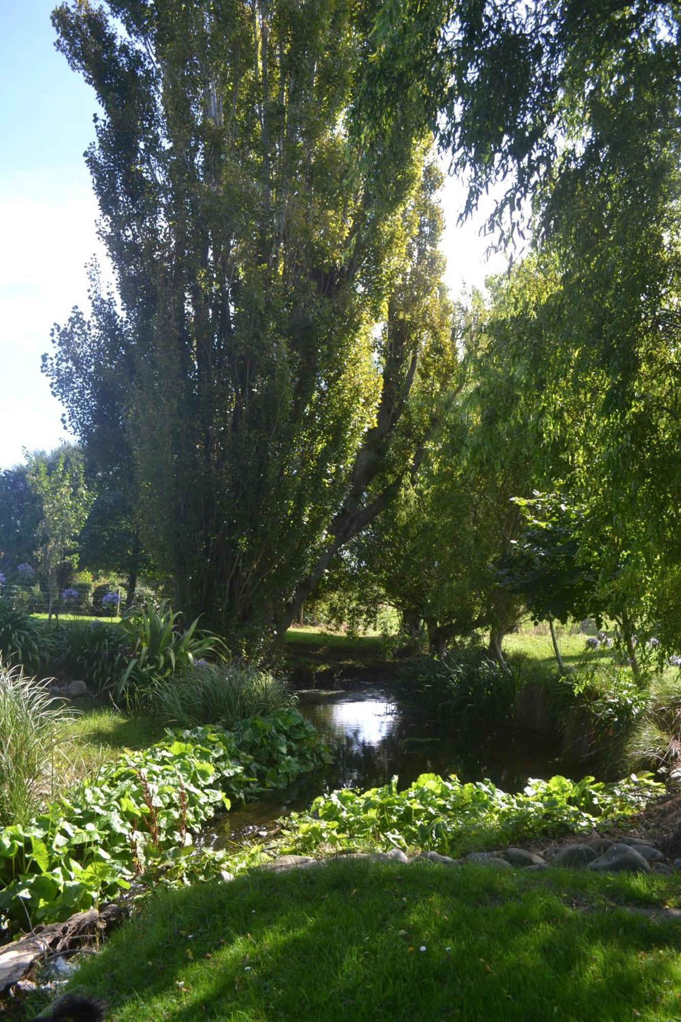 Highlands On Homestead Oamaru Esterno foto