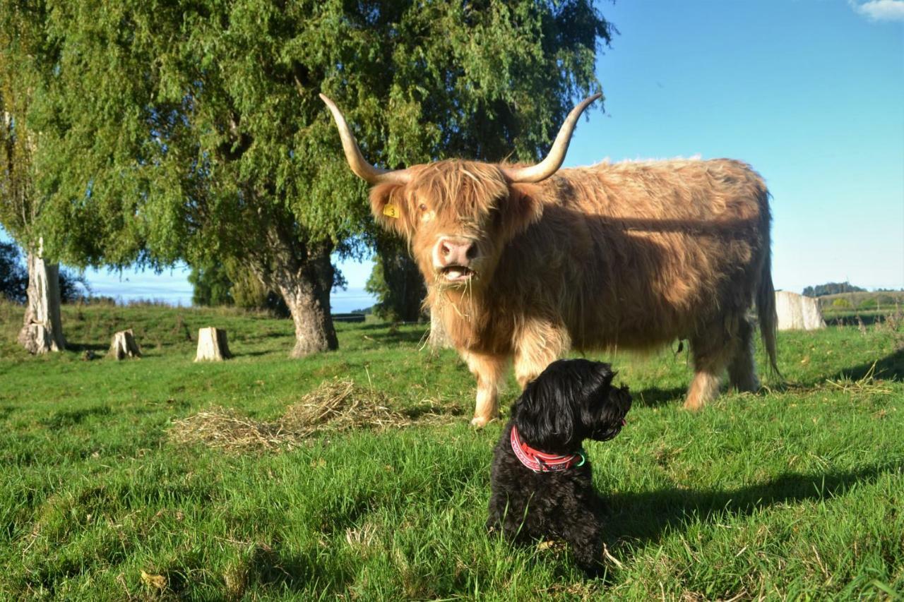 Highlands On Homestead Oamaru Esterno foto
