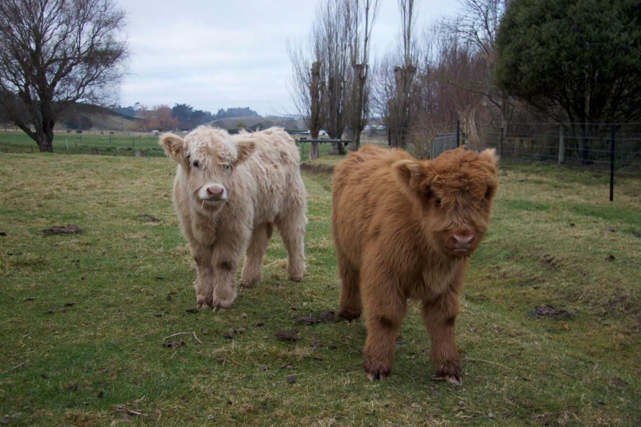 Highlands On Homestead Oamaru Esterno foto