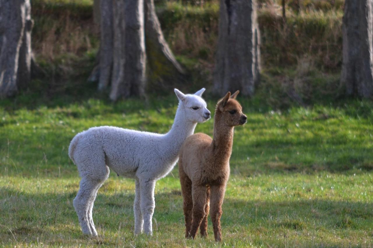 Highlands On Homestead Oamaru Esterno foto