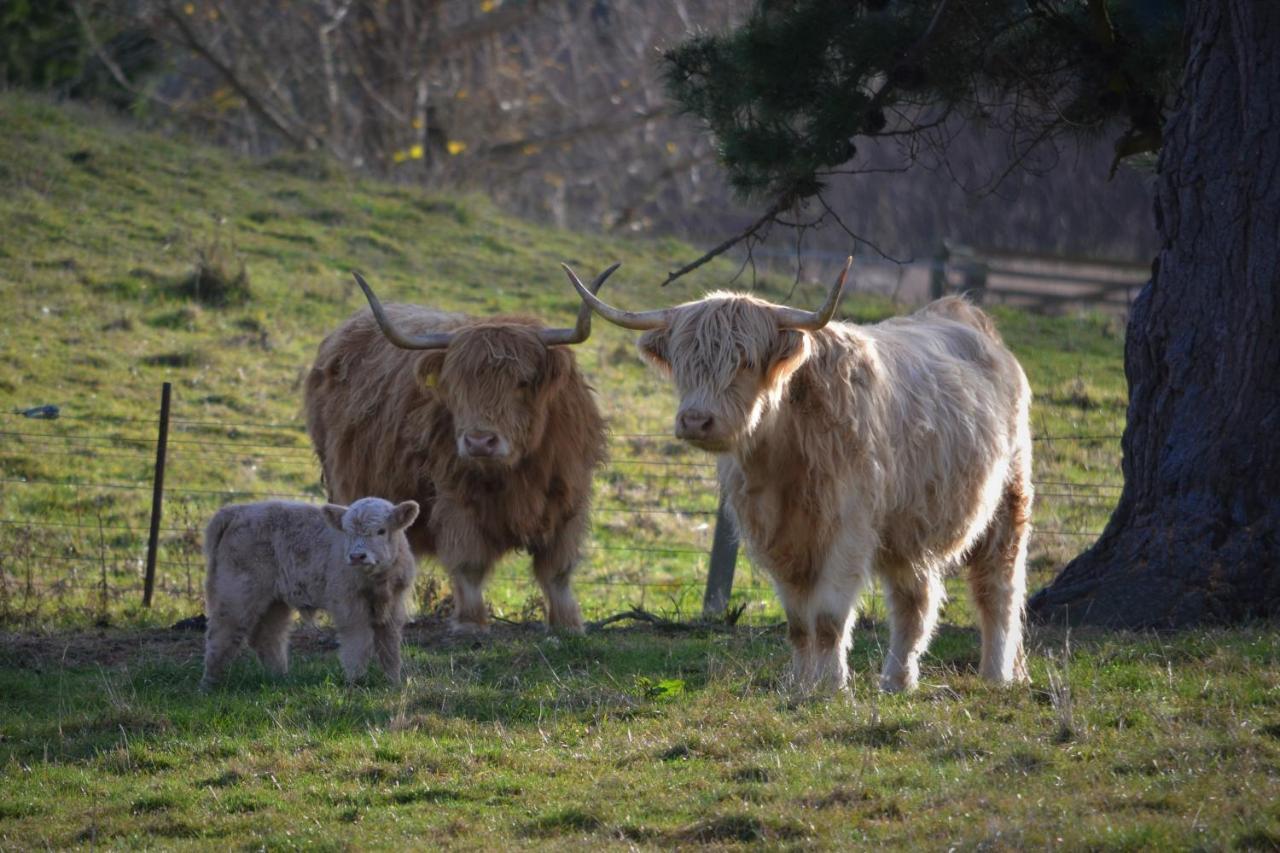 Highlands On Homestead Oamaru Esterno foto